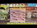 【蟻エン式】自作アリ飼育ケース　〜オリジナルのアリの巣を作ろう〜 【蟻飼育】【蟻飼育キット】【蟻飼育初心者】