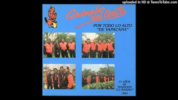 Cardenales del Exito '1993' MI RANCHITO (canta Ricardo Cepeda, de Ricardo Portillo)