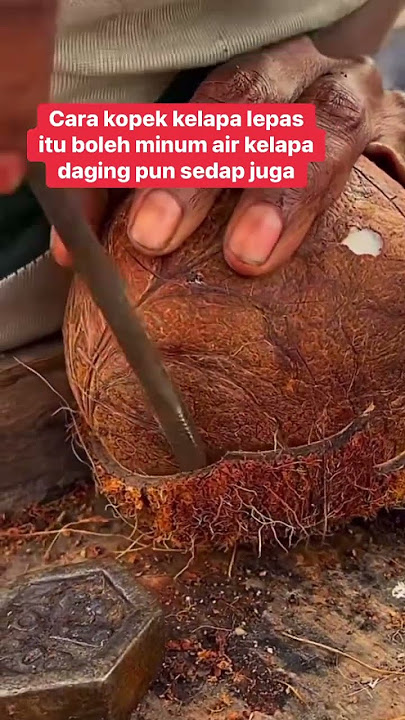 Cara kopek kelapa lepas itu boleh minum air kelapa daging pun sedap juga