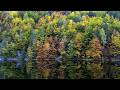 Calming Piano Music for Deep Relaxation 🎹 Stress Relief &amp; Inner Peace