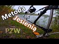 Karaś Sezonu z Jesiennej Wyprawy! Method Feeder w Akcji na wodzie PZW!