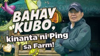 iPING TV: Ping Lacson Farm Tour