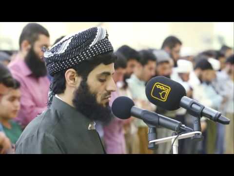 هل اتاك حديث موسى تلاوه هادئه رعد الكردي