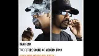 Video thumbnail of "DAM Funk -subtitle -experts"