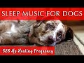 Dog Sleep Meditation Music [528 Hz Healing Frequency]