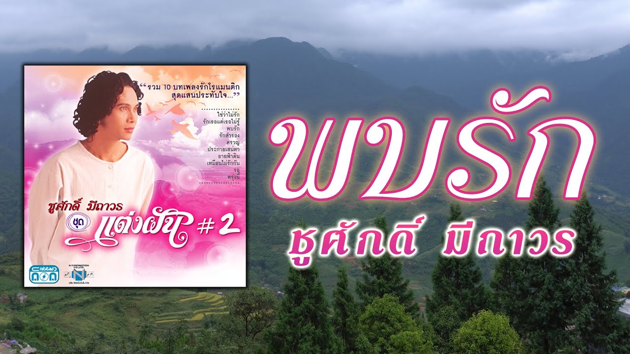 พบรัก - ชูศักดิ์ มีถาวร [ Official Audio ]