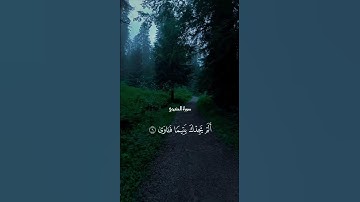 سورة الضحى | الشيخ ماهر المعيقلي
