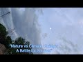 “Our Planet, Our Responsibility” #nature #rain #waterfall #tree #beautyofnature 