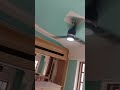 Video Image
