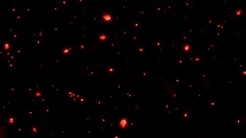 Hoa Anh Đào Rơi Màu Đỏ - Cherry Blossom Effect Background