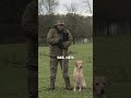 Advanced Impulse Control + Basic Dog Training = The World’s Best Dogs