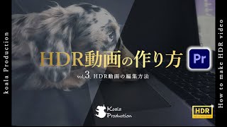 【HDR動画の作り方】#３『編集編』　犬でもできる  HDR動画の編集と設定方法