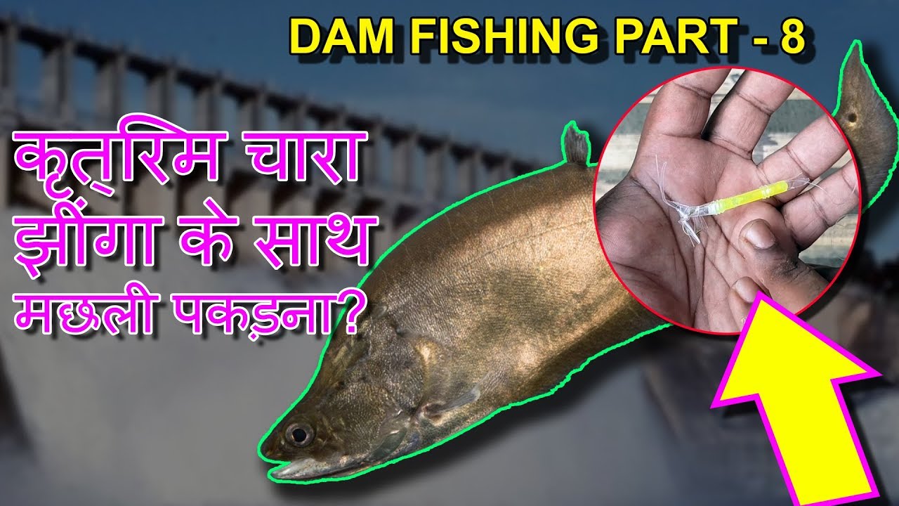 DAM Fishing Part 8 कृत्रिम चारा झींगा के साथ मछली पकड़ना Amazing DIY