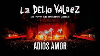La Delio Valdez - Goodbye My Love "Live in Buenos Aires"