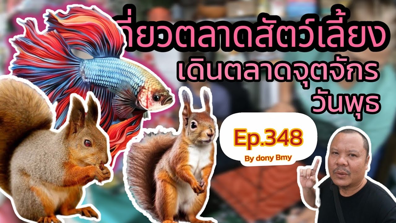 เที่ยวตลาดสัตว์เลี้ยง Ep.348 🐭🐹 เดินจตุจักรวันพุธ #ตลาดจตุจักร #Chatuchakmarket #fypシ