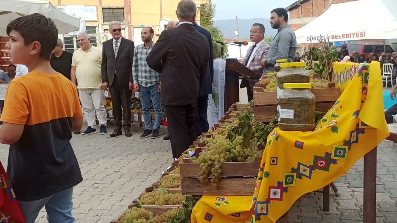 Gökçeli Kasabası Üzüm Festivali 2022