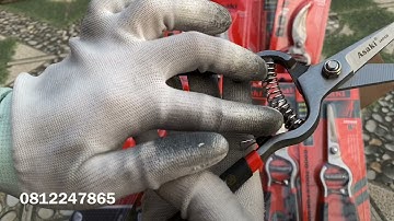 Bộ đôi kéo cắt cành ASAKI ( xuất sứ JAPAN)kéo đúc nguyên cây.giá kéo ko đâu rẻ hơn.