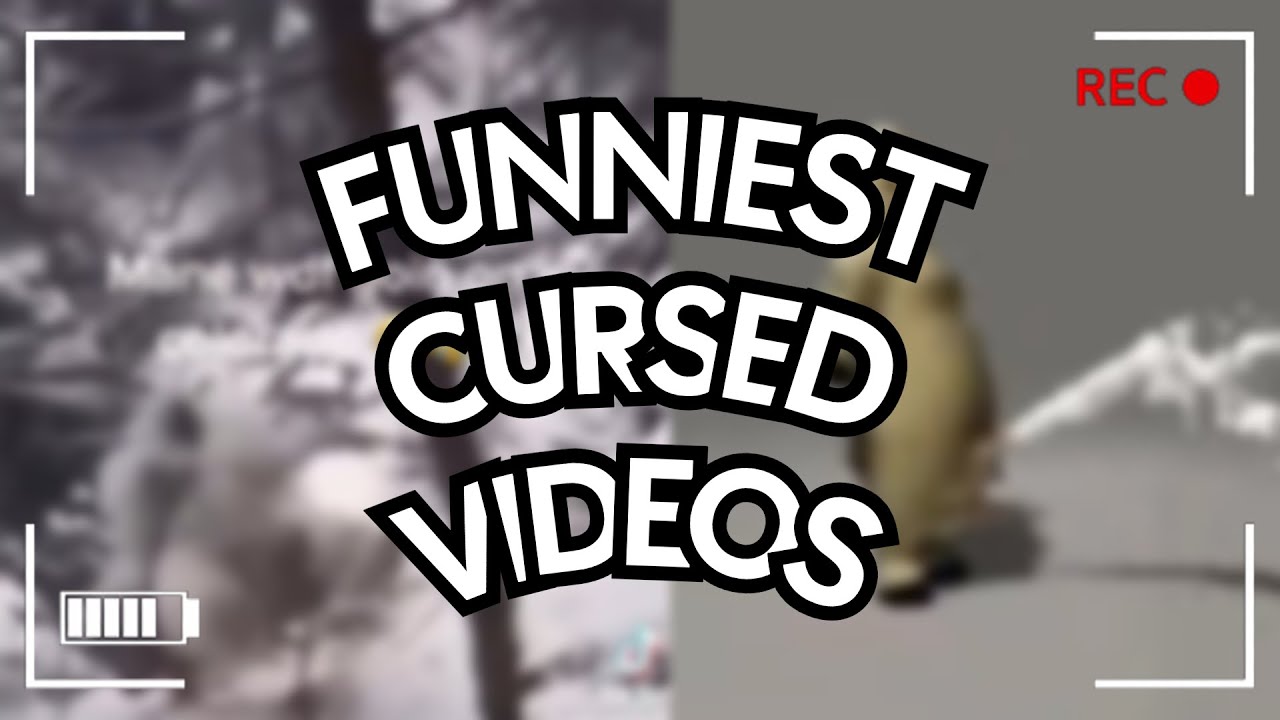 Funniest Cursed Videos
