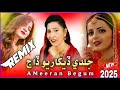 SINDHI NEW WADDING DJ MASHUP | SINDHI SEHRA DJ REMIX | AMEERAN BEGUM SEHRA DJ SONG 2025 