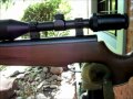 Rifle Bam Modelo 22/22-1 Cal. 5.5 1000 Fps!