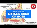 LITTLE&#39;S AREA OF NOSE | EPISTAXIS | NASAL SEPTUM | ANATOMY | MUHS | 1ST YR MBBS