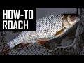 How to CATCH RIVER ROACH on a STICK FLOAT?