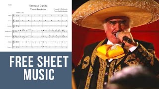 Hermoso Carino - Vicente Fernandez