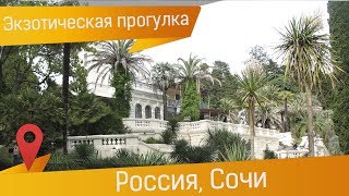 Парк Дендрарий в Сочи: экскурсия в ботанический сад дендропарка