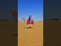 #Jaisalmer #JaisalmerVlog rajasthan #SamSand#TravelShorts #ytshorts #shorts #trending #viralshorts