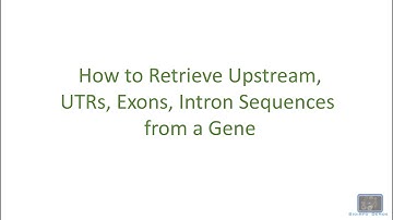 How to Retrieve Upstream,UTRs, Exons, Intron Sequences from a Gene using the UCSC Genome Browser