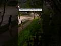 POV: Barking up the Wrong Tree #funny #skit #funnyskit