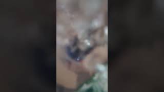 mojando mi teléfono