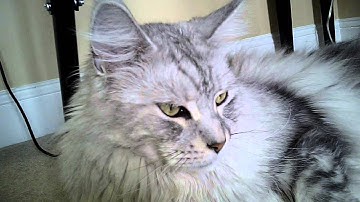 Keychain Camera #16 Video Test Indoors 10MBPS 720P Video Quality