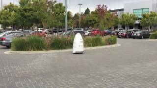 Microsoft Parking Officer
