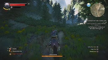 The Witcher 3: Wild Hunt horse bug.