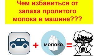 видео: ТОП 10 СОВЕТОВ как избавиться от запаха прокисшего молока в салоне автомобиля картинка: ТОП 10 СОВЕТОВ как избавиться от запаха прокисшего молока в салоне автомобиля
