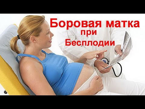 Бесплодие? Как забеременеть если не получается? Боровая матка при бесплодии у женщин