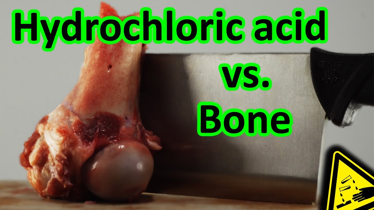 Hydrochloric Acid vs. Bone total 🍖 YouTube