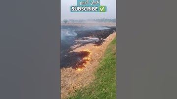 #quran #ياسر_الدوسري #قرآن_كريم #سورة_الاحزاب #subscribe #nature