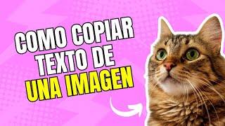 Usa la herramienta de recortes para copiar texto de una imagen