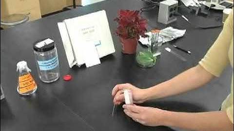 Pigment Chromatography