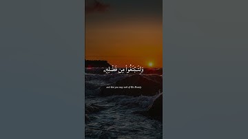 الله الذي سخر لكم البحر لتجري الفلك فيه بأمره | الآية 12 من سورة الجاثية | #قران_كريم #قرآن #quran