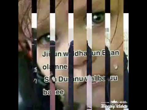 Walaloo Kana Caqasaa