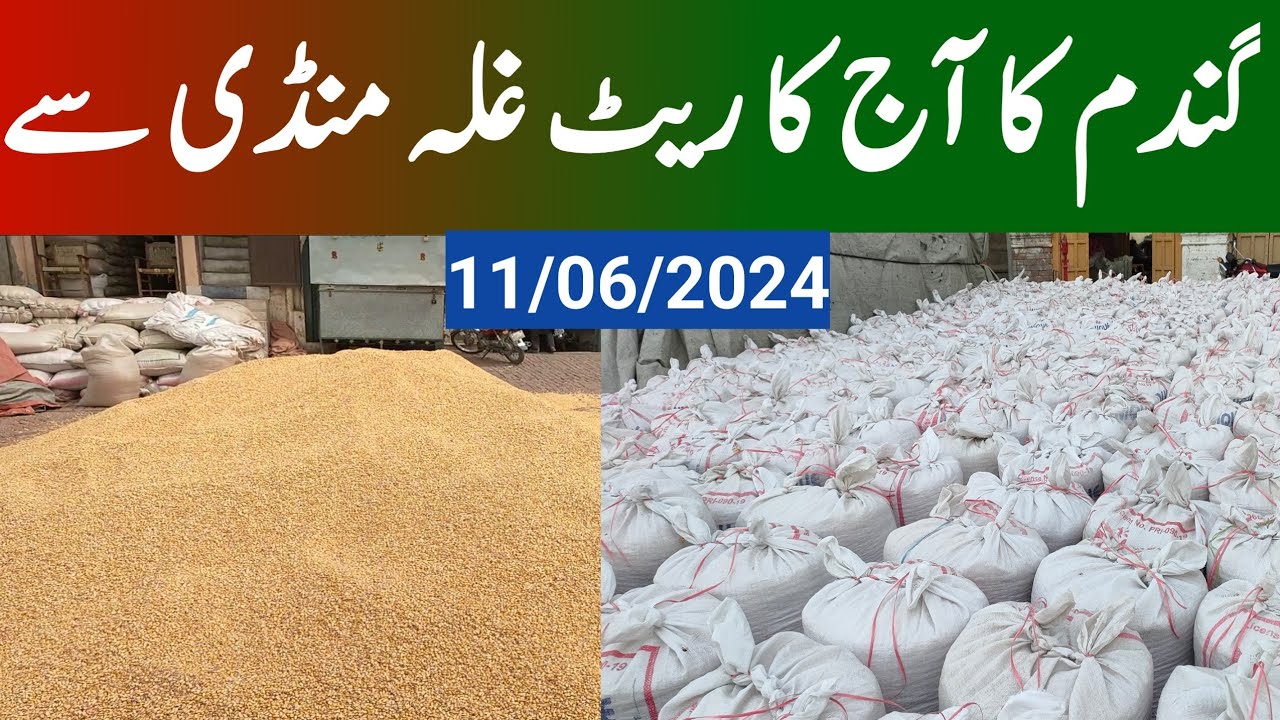 Wheat price today update| Galla Mandi Wheat price| Gandam Rate today ...