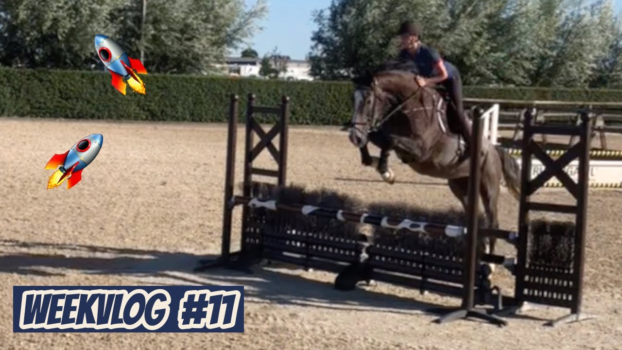 LENTE SPRINGT EEN GROTE-PAARDEN-PARCOURS 😱 + ARI UPDATE  | Weekvlog 11 | Demi van Nikkelen Kuijper