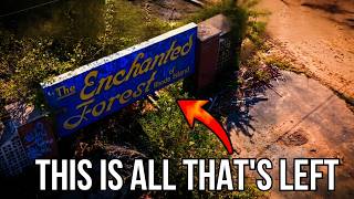 Lost to Time: Where Enchanted Forest Once Stood