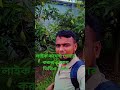 💚লাইক কমেন্ট শেয়ার করুন এরকম ভিডিও পেতে #bagofwords  #love #wordstar #myword 💢🏵️💚🏵️💚💢