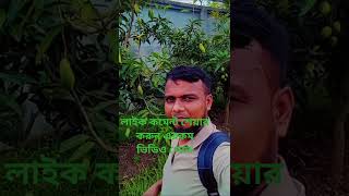 💚লাইক কমেন্ট শেয়ার করুন এরকম ভিডিও পেতে #bagofwords #love #wordstar #myword 💢🏵️💚🏵️💚💢