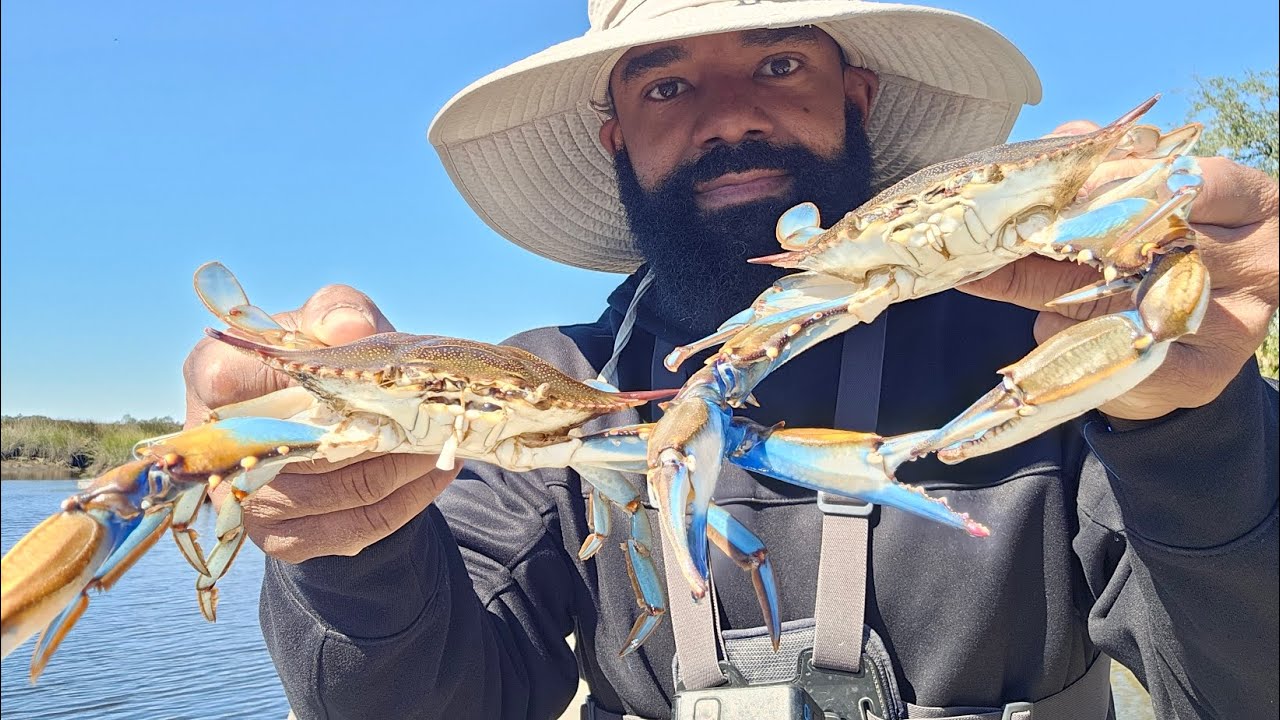 Прекрасный день ловли крабов и рыбалки во Флориде! Погнали!!!!!