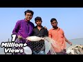 বঙ্গোপসাগরে ইলিশ মাছ ধরে রান্না করে খেলাম || Hilsa fish fry on fishing boat  || Deshi Foodies